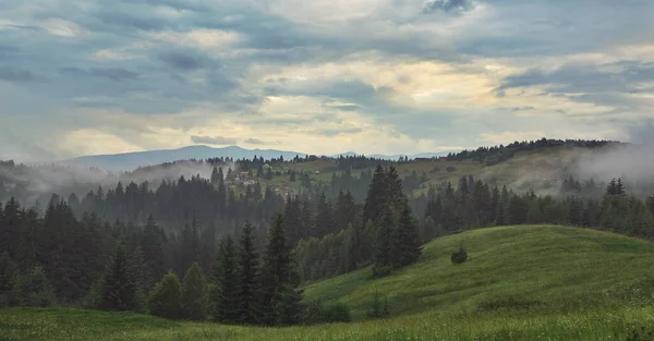 Mlhavá krajina s horami a jedlovým lesem, večerní zatažená obloha. — Stock fotografie