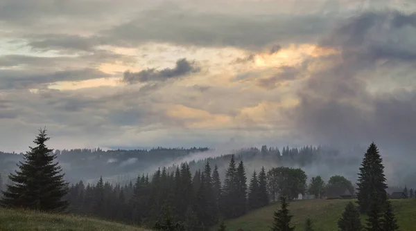 Mystická tmavá mlhavá lesní a horská krajina s pochmurnou oblohou a dramatickými mraky. — Stock fotografie