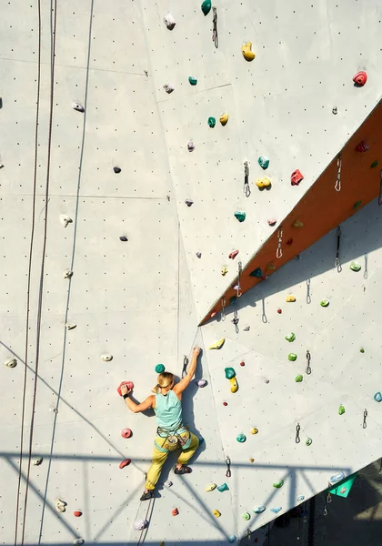 Vista trasera del escalador deportista subiendo en la pared vertical de roca artificial . — Foto de Stock