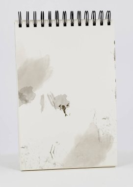 Lekeli klasik defter