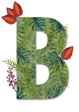 B harfi, çiçek desenli resimli dekoratif alfabe.