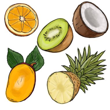 Meyvelerin elle çizilmiş hali