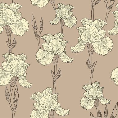 Dekoratif, güzel, pürüzsüz desen. Pembe-bej arka planda açık renk irisler. Çizgi çizimi botanik illüstrasyon.