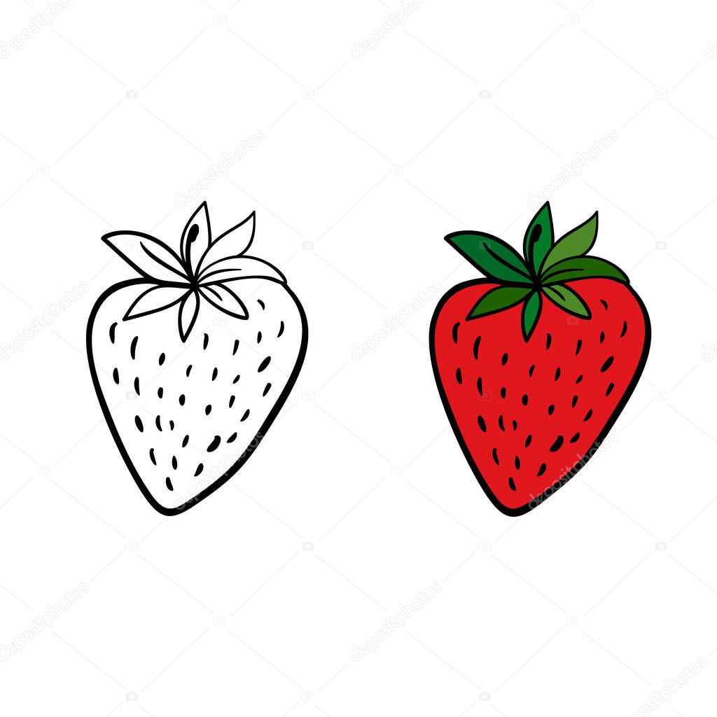 Hand drawn doodle strawberry on white isolated background. Line object and colorful berry.