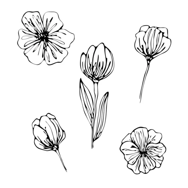 Met Hand Getrokken Tedere Lente Bloemen Witte Achtergrond — Stockvector