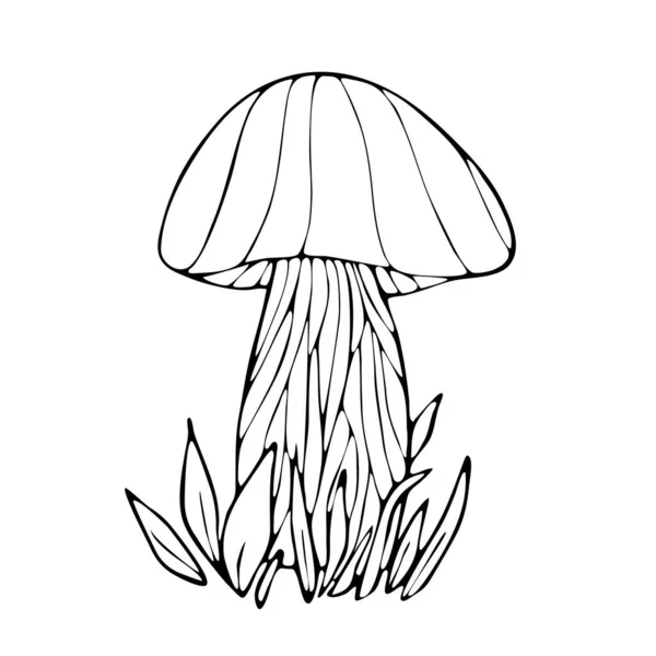 Hand Drawing Mushrooms Details Coloring Book Pages — Stock Vector