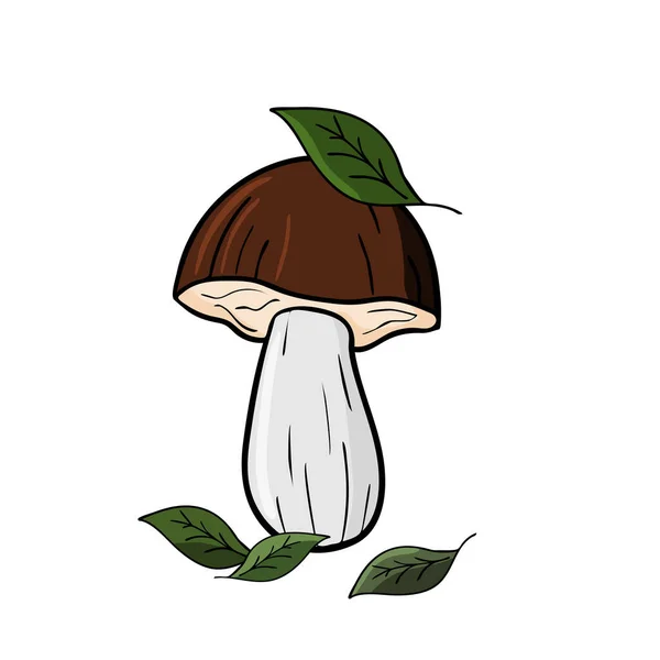 Handgezeichnete Bunte Cartoon Pilz Mit Blättern Auf Weißem Isolierten Hintergrund — Stockvektor