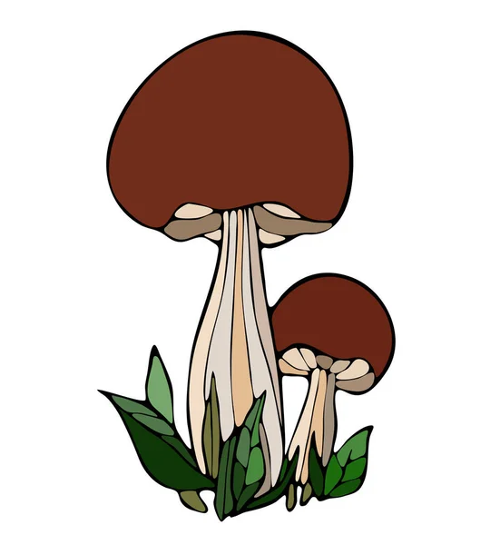 Cartoni Animati Colorati Disegnati Mano Funghi Con Erba Sfondo Bianco — Vettoriale Stock