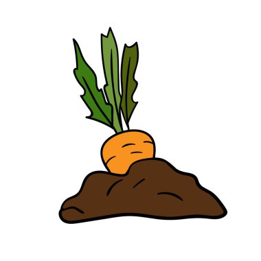 Beyaz izole arkaplanda tek bir sebze nesnesi çizildi. Olgun ve parlak bir havuç.