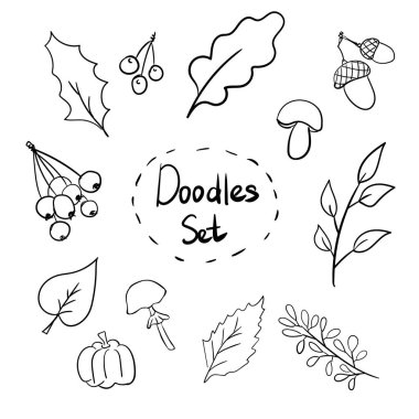 Sonbahar eşyaları seti. Mantar, yaprak, meşe palamudu, dal ve böğürtlen. İzole edilmiş beyaz arkaplana karalamalar