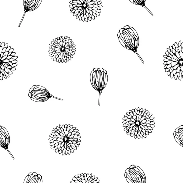 Hand Drawn Chrysanthemum Flower Buds Vector Illustration Seamless Floral Pattern — Stock Vector