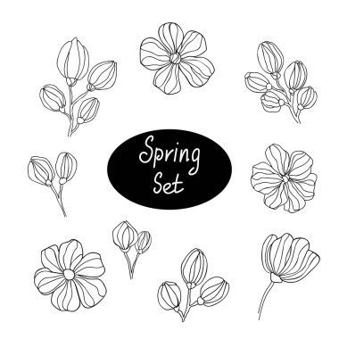 Beyaz izole arkaplanda bahar seti. El çizimi çiçekler ve çiçekler..