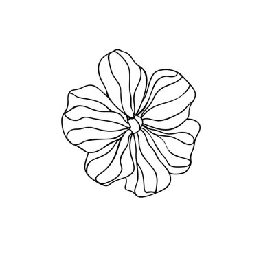 El çizimi dekoratif çiçek beyaz izole arka planda çiçek açar. Tek karalama nesnesi. 