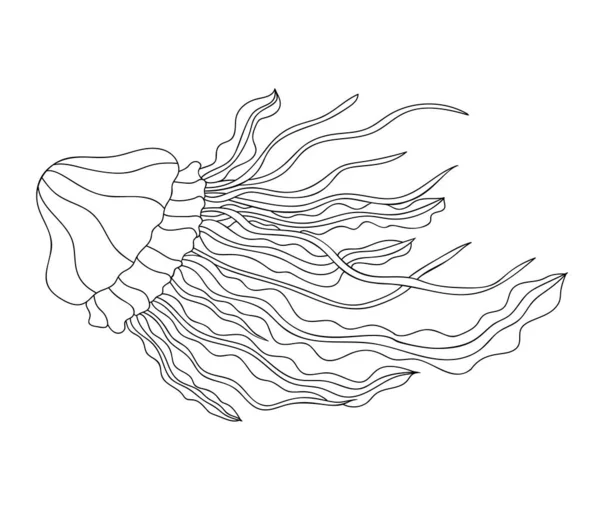Beyaz Yalıtılmış Arka Planda Basit Desenli Yapımı Denizanası Boyama Kitabı — Stok Vektör