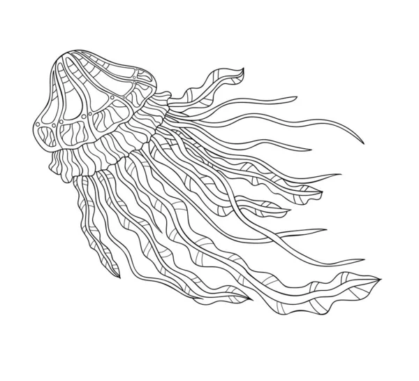 Ručně Kreslené Oceánské Medúzy Malým Středním Vzorem Bílém Izolovaném Pozadí — Stockový vektor
