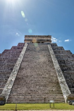 En yaşlı Mayalar ormanda bir ağaçla harabe yapar.