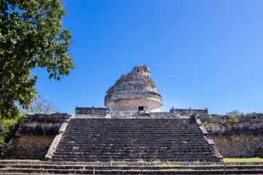 En yaşlı Mayalar ormanda bir ağaçla harabe yapar.