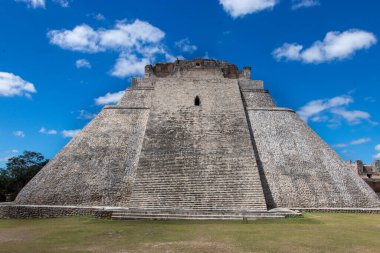En yaşlı Mayalar ormanda bir ağaçla harabe yapar.
