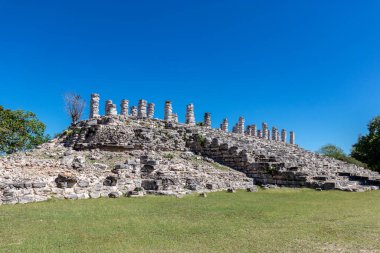 En yaşlı Mayalar ormanda bir ağaçla harabe yapar.