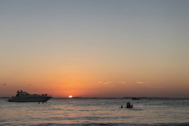 Un mar azul y unas flores naranjas sobre el cielo
