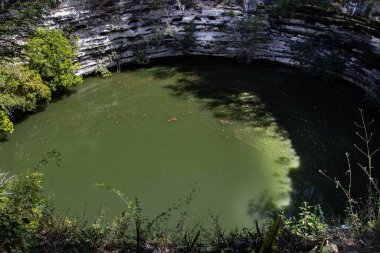 Eski bir Maya şehrinde yeşil bir mezar
