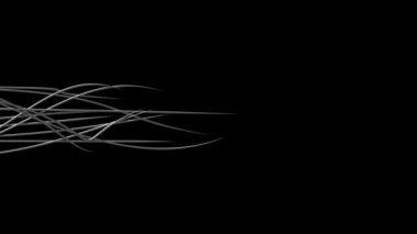 dalgalı organik çizgiler video arkaplanı 