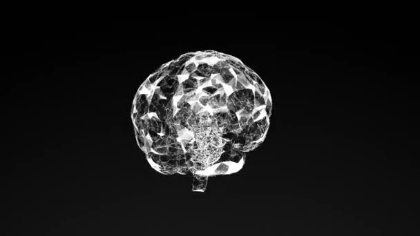 Modelo Cerebro Humano Composición Geométrica Abstracta Caóticas Líneas Puntos Movimiento — Vídeo de stock