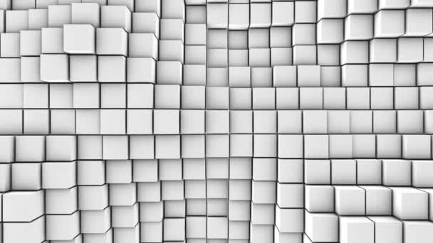 Lot White Cubes Surface Whole Screen Volumetric Wave Movement Cubes — Stock Video