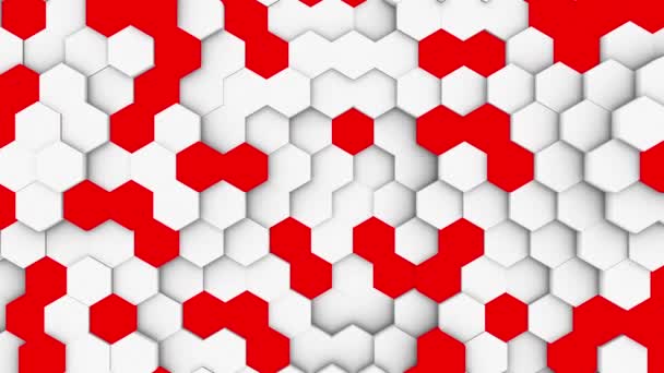 Surface Géométrique Abstraite Polygonale Quadrillage Polygonal Minimal Avec Éléments Forme — Video