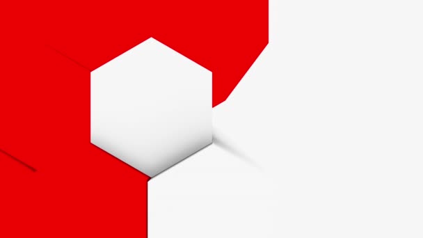 Абстрактная Полигональная Геометрическая Поверхность Белая Минимальная Полигональная Сетка Неким Цветовым — стоковое видео