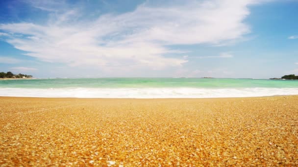 Littoral Sri Lanka Sable Plage Océan Indien — Video