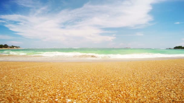 Wybrzeże Sri Lanka Plaża Piasek Ocean Indyjski — Wideo stockowe