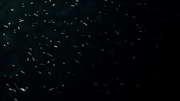 Composizione Caotici Scintille Volanti Come Una Neve Inverno Con Profondità — Video Stock