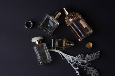 beautiful aroma perfumes set on dark background 