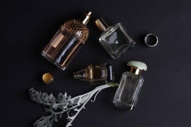 beautiful aroma perfumes set on dark background 