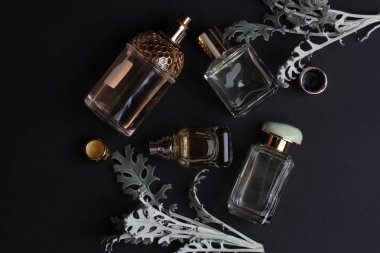 beautiful aroma perfumes set on dark background 