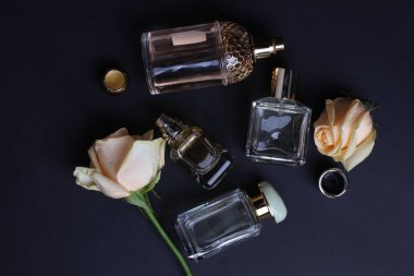 beautiful aroma perfumes set on dark background 