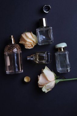 beautiful aroma perfumes set on dark background 