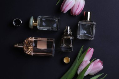 beautiful aroma perfumes set on dark background 