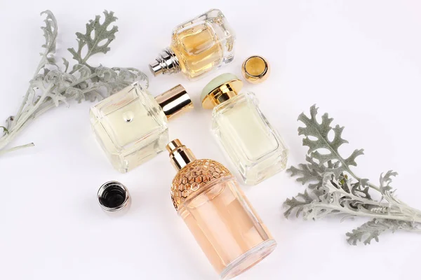 Conjunto Perfumes Aromáticos Con Flores Plantas Sobre Fondo Blanco — Foto de Stock