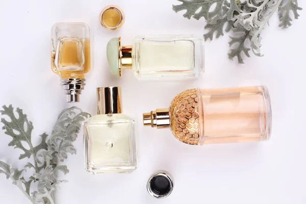 Set Aroma Perfumes Flowers Plant White Background — Stock Photo, Image