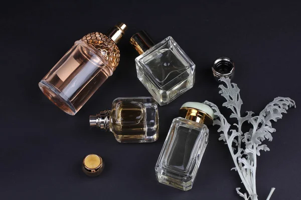 Mooie Geur Parfums Ingesteld Donkere Achtergrond — Stockfoto