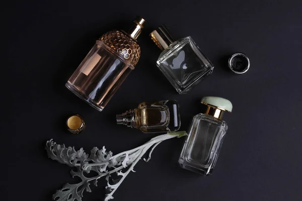 Mooie Geur Parfums Ingesteld Donkere Achtergrond — Stockfoto