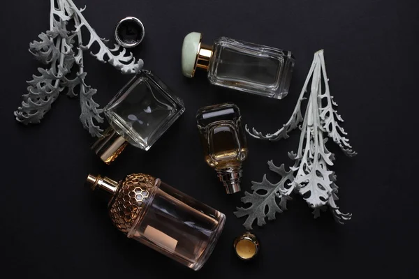 Beautiful Aroma Perfumes Set Dark Background — Stock Photo, Image