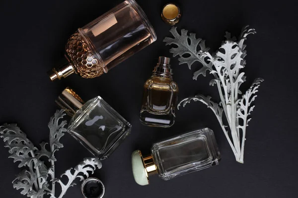 Beautiful Aroma Perfumes Set Dark Background — Stock Photo, Image