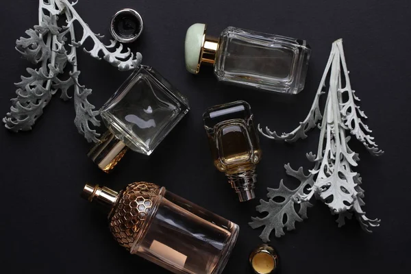 Beautiful Aroma Perfumes Set Dark Background — Stock Photo, Image