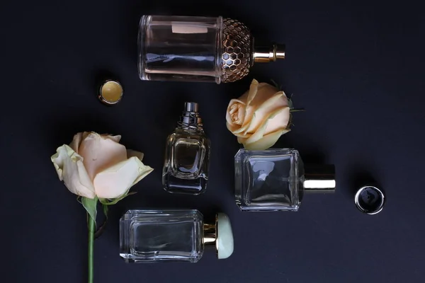 Perfumes Aroma Hermoso Conjunto Sobre Fondo Oscuro — Foto de Stock
