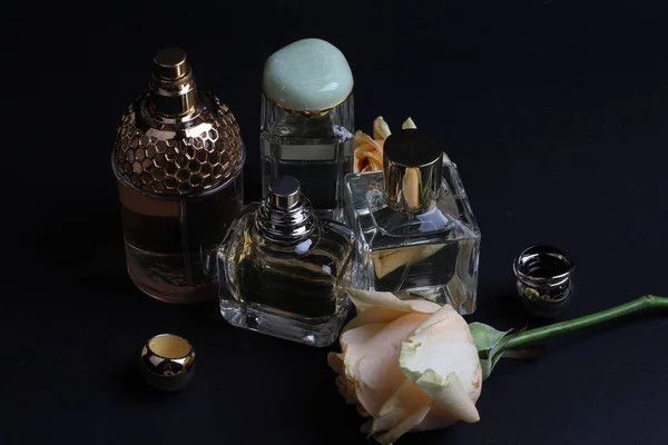 Perfumes Aroma Bonito Definido Fundo Escuro — Fotografia de Stock