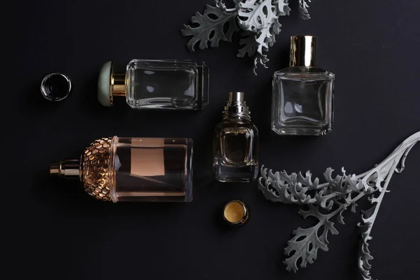 Beautiful Aroma Perfumes Set Dark Background — Stock Photo, Image