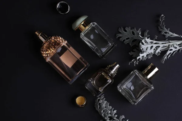 Beautiful Aroma Perfumes Set Dark Background — Stock Photo, Image